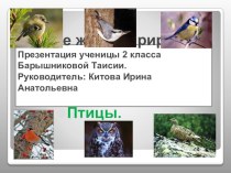 Проектная работа по окружающему миру В мире живой природы. Птицы.2 класс творческая работа учащихся по окружающему миру (2 класс)
