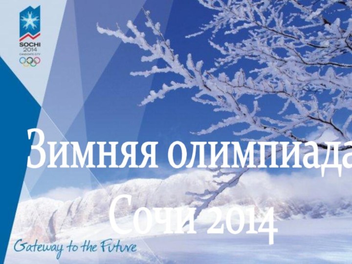 Зимняя олимпиада Сочи 2014