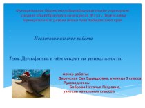 Исследовательская работа по окружающему миру Дельфины: в чем секрет их уникальности. проект по окружающему миру (3 класс) по теме