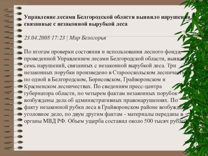 Управление лесами Белгородской области выявило нарушения, связанные с незаконной вырубкой леса23.04.2008 17:23