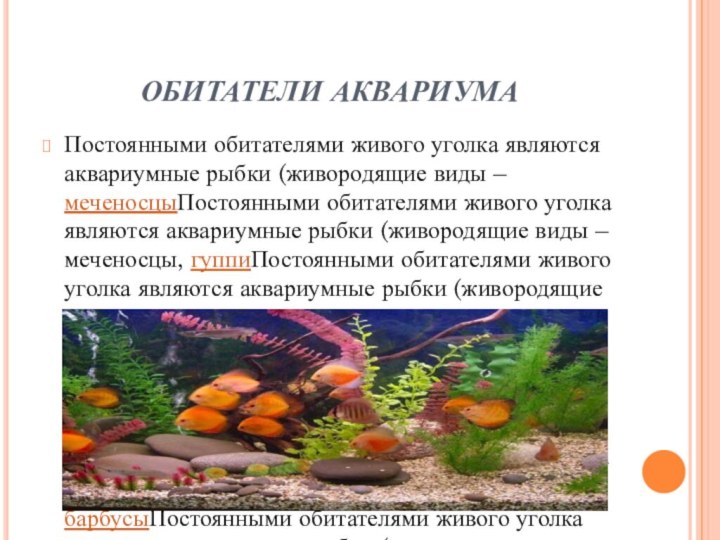 ОБИТАТЕЛИ АКВАРИУМАПостоянными обитателями живого уголка являются аквариумные рыбки (живородящие виды – меченосцыПостоянными
