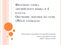 Фрагмент урока английского языка в 4 классе по УМК Enjoy English по теме Wild animals презентация к уроку по иностранному языку (4 класс)
