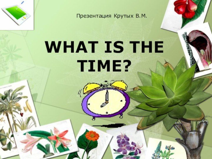 WHAT IS THE TIME?Презентация Крутых В.М.