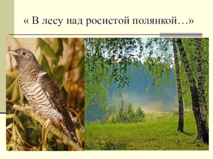 « В лесу над росистой полянкой…»
