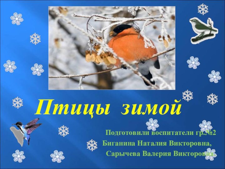 Птицы зимойПодготовили воспитатели гр.№2 Биганина Наталия Викторовна,Сарычева Валерия Викторовна.