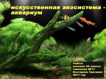 akvarium prezentatsiya2