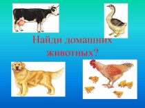Дидактическая игра Найди домашних животных (презентация) презентация к уроку (средняя группа)