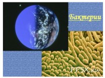 Бактерии презентация к уроку по окружающему миру (3 класс)