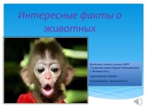 Интересные факты о животных презентация к уроку по окружающему миру (1 класс) по теме