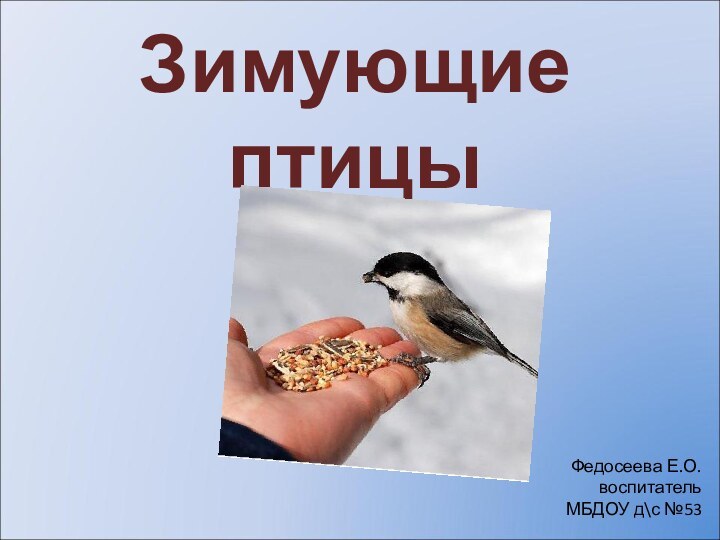 Федосеева Е.О.воспитатель МБДОУ д\с №53 Зимующие птицы