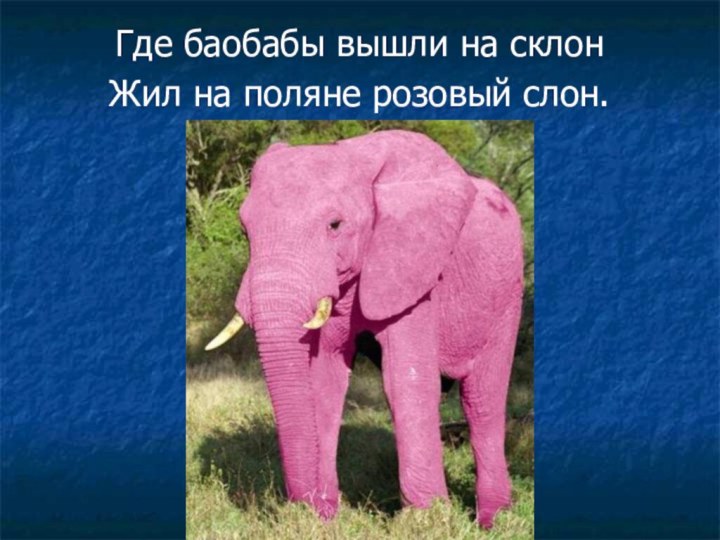 Где баобабы вышли на склонЖил на поляне розовый слон.