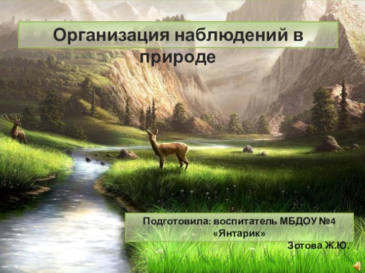 Организация наблюдений в природеПодготовила: воспитатель МБДОУ №4 «Янтарик»