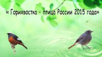 Презентация Горихвостка - птица России 2015 года презентация к уроку по окружающему миру