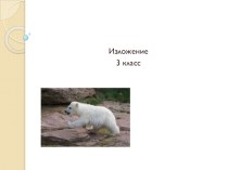 Изложение Живой мячик презентация к уроку по русскому языку (3 класс) по теме