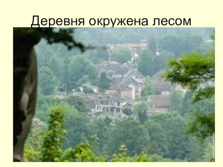 Деревня окружена лесом